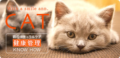 国産の無添加キャットフードの通販 Ann Cat アン