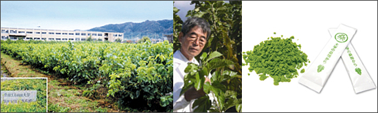 �V�R���N�H�i �K���y��w�̌K������z